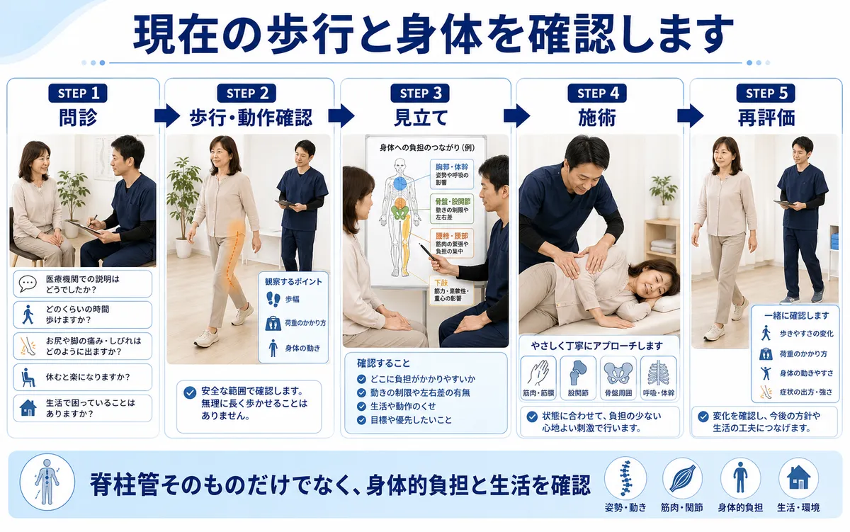墨東メディカル整体院で脊柱管狭窄症の問診・歩行確認・見立て・施術・再評価を行う流れ