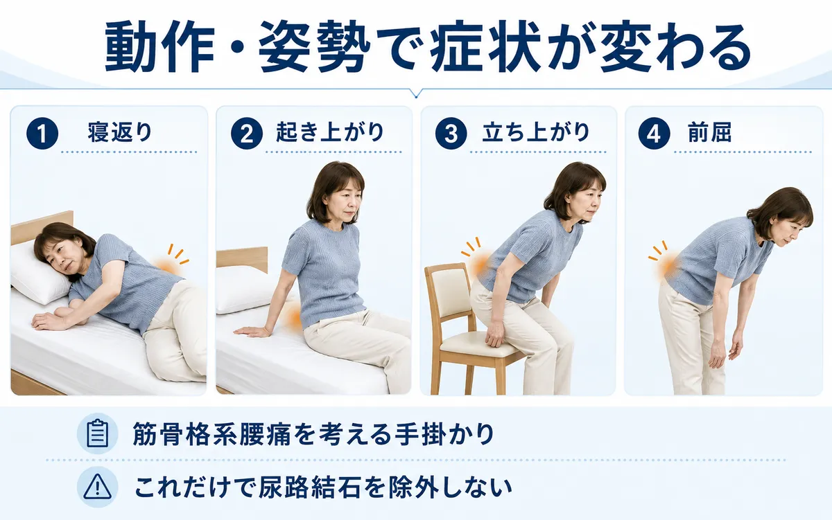 寝返り、起き上がり、立ち上がり、前屈で腰痛が変わる筋骨格系急性腰痛の手掛かり
