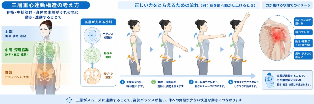 三層重心連動構造から見る腕を上げる際の頭部・胸郭肩甲帯・骨盤の連動