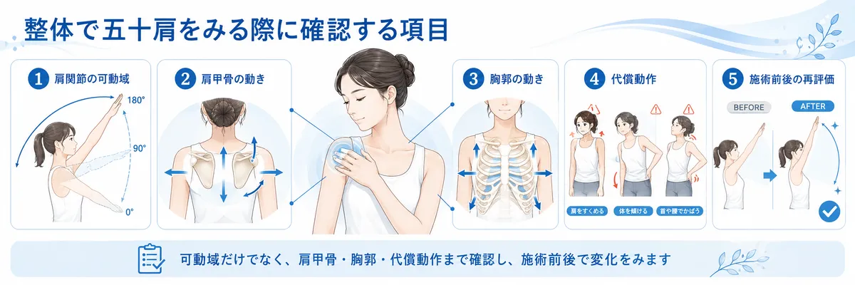 五十肩の肩関節可動域・肩甲骨・胸郭・代償動作・施術前後の確認項目