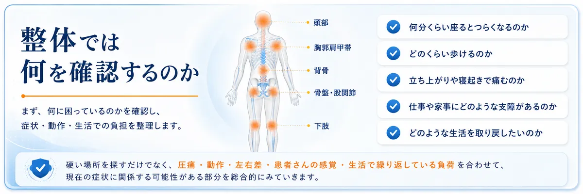 坐骨神経痛を整体では何を確認するのか