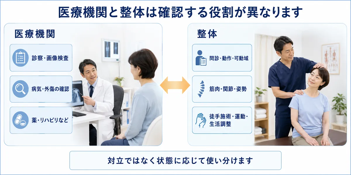 診察や画像検査を行う医療機関と身体の動作を確認する整体の役割の違い