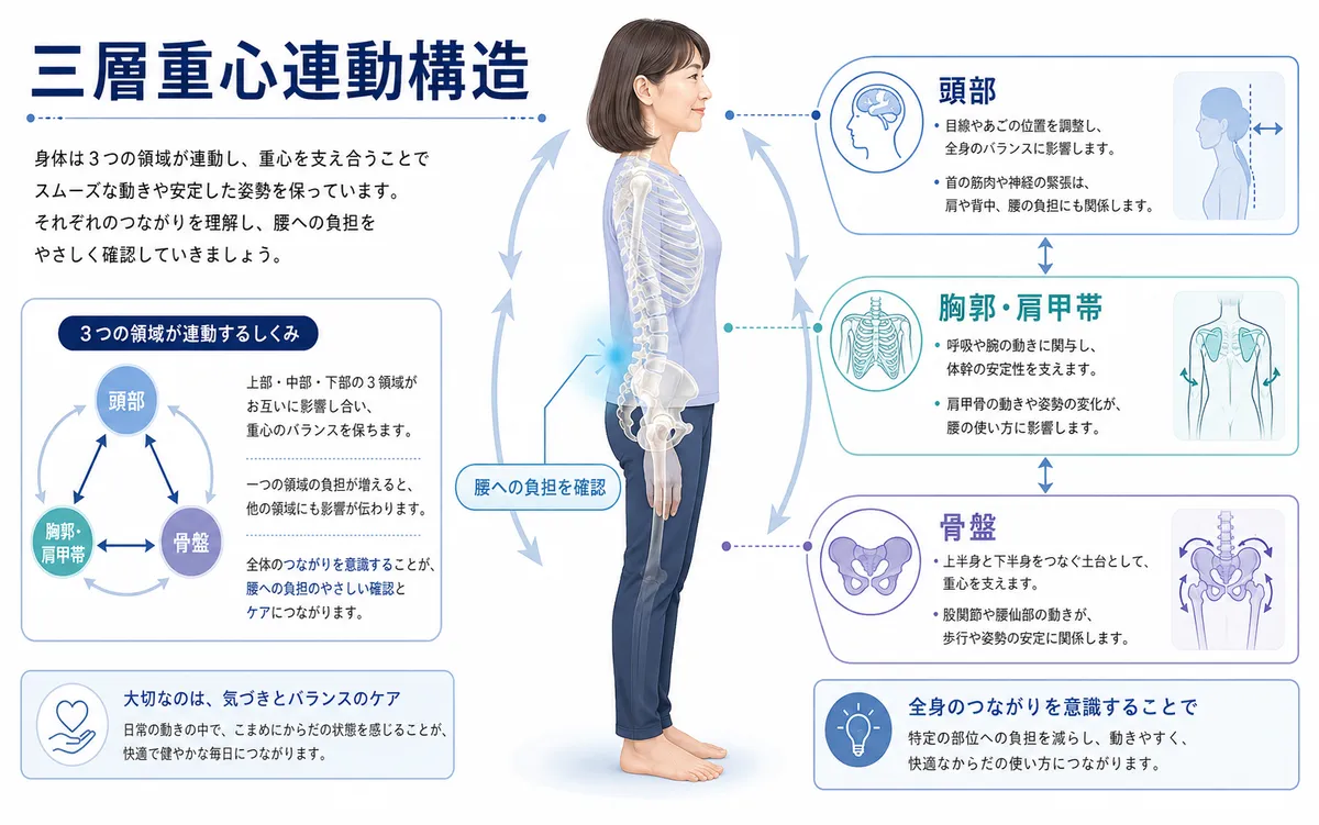 頭部・胸郭肩甲帯・骨盤の三層から腰への負担をみる考え方を示した図解