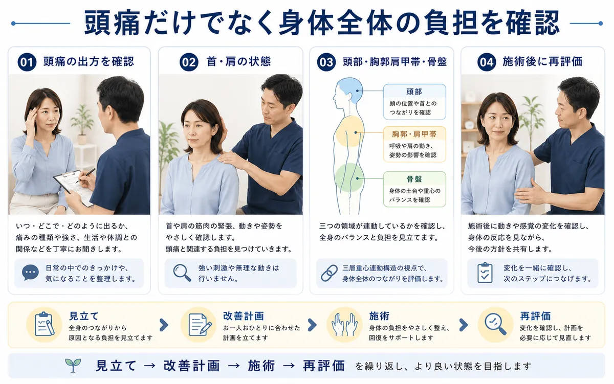 頭痛に対して首肩だけでなく頭部、胸郭肩甲帯、骨盤の関係を確認する整体の考え方