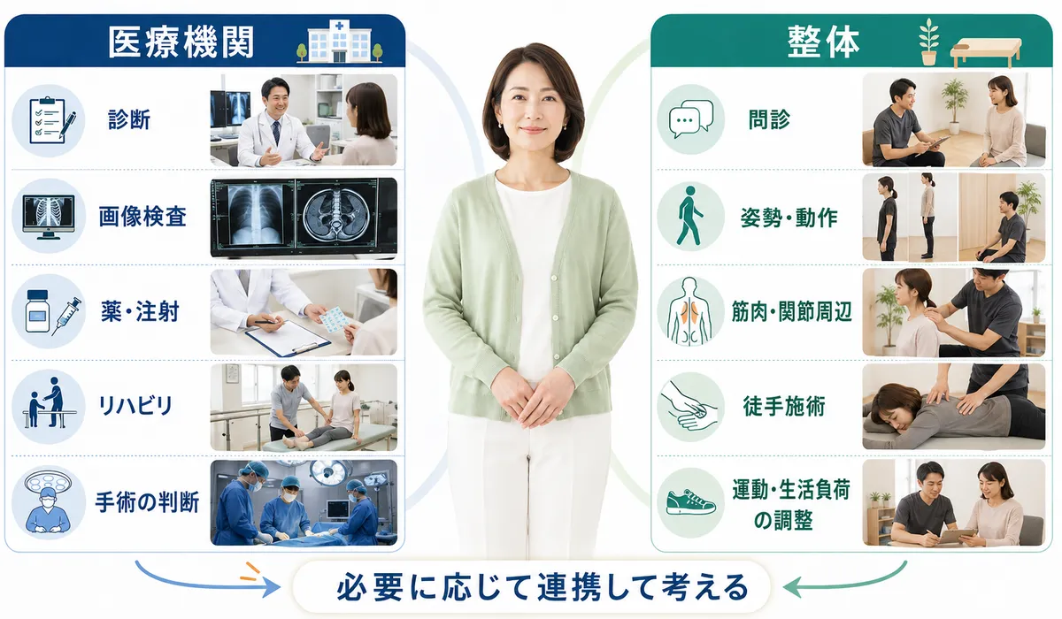 診断や画像検査を行う医療機関と動作や身体的負担を確認する整体の役割の違い