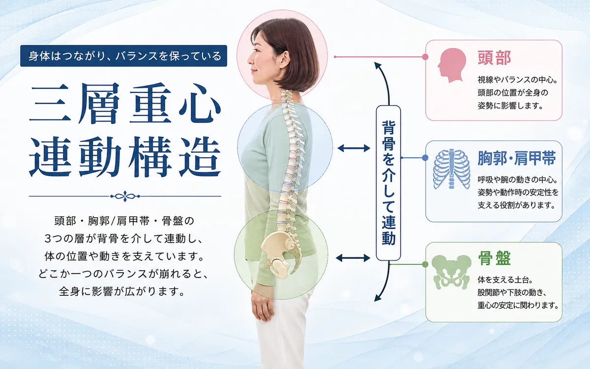 股関節痛を三層重心連動構造から説明した図