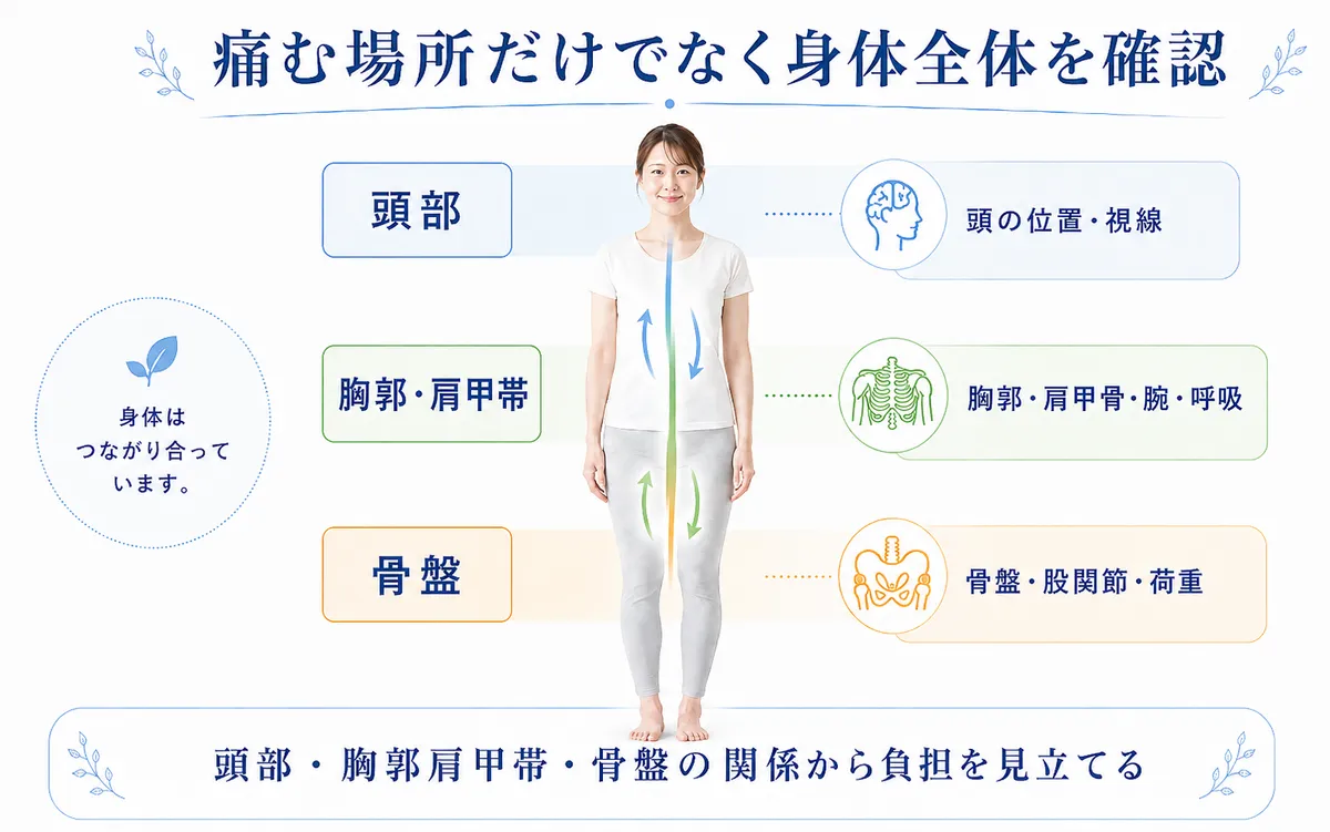 頭部・胸郭肩甲帯・骨盤の三層から身体全体の負担を確認する三層重心連動構造の図