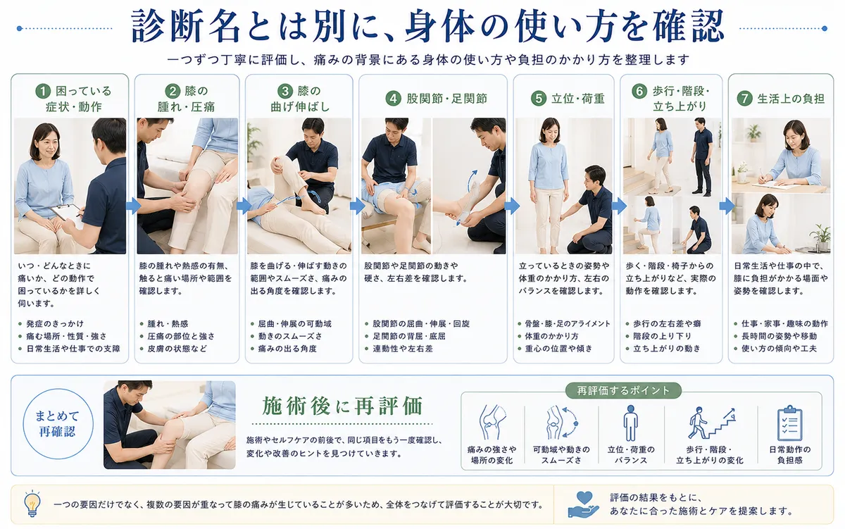 膝の状態・股関節・足関節・歩行・生活動作を整体で確認する流れ