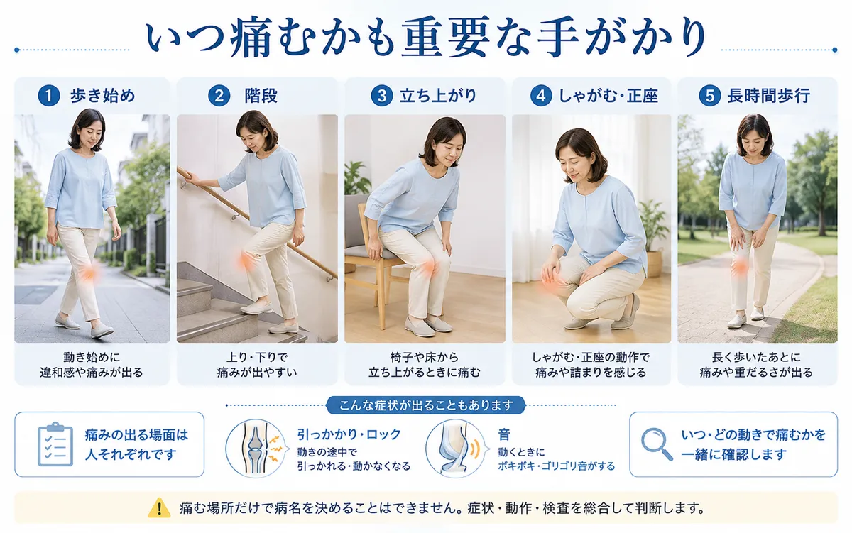 歩き始め・階段・立ち上がり・しゃがみ・長時間歩行で膝が痛む場面