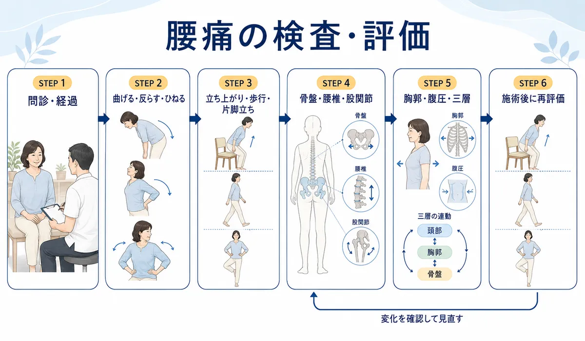 問診から腰の動作、歩行、股関節、胸郭、再評価までの腰痛検査の流れ