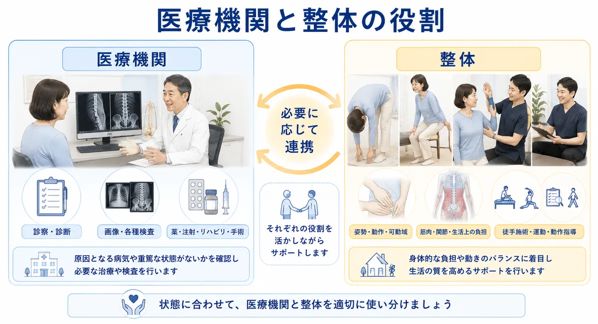 診察や画像検査を行う医療機関と動作や身体的負担を確認する整体の役割の違い