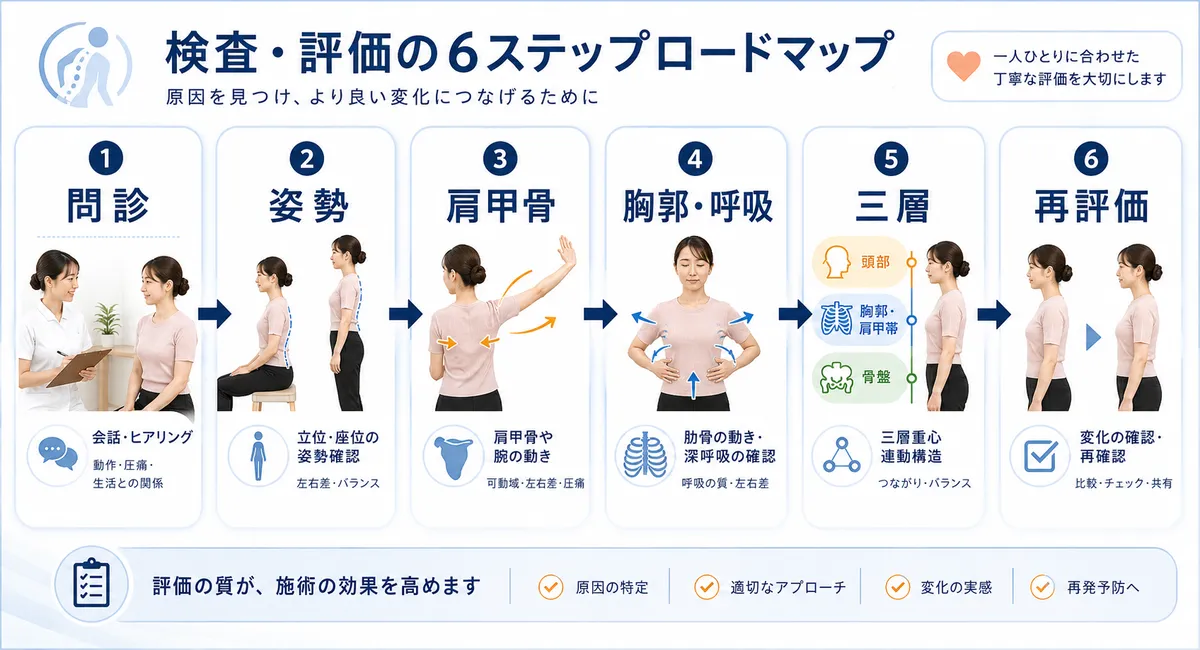 問診、姿勢、肩甲骨、胸郭と呼吸、三層、再評価までの確認項目を流れで示した図解