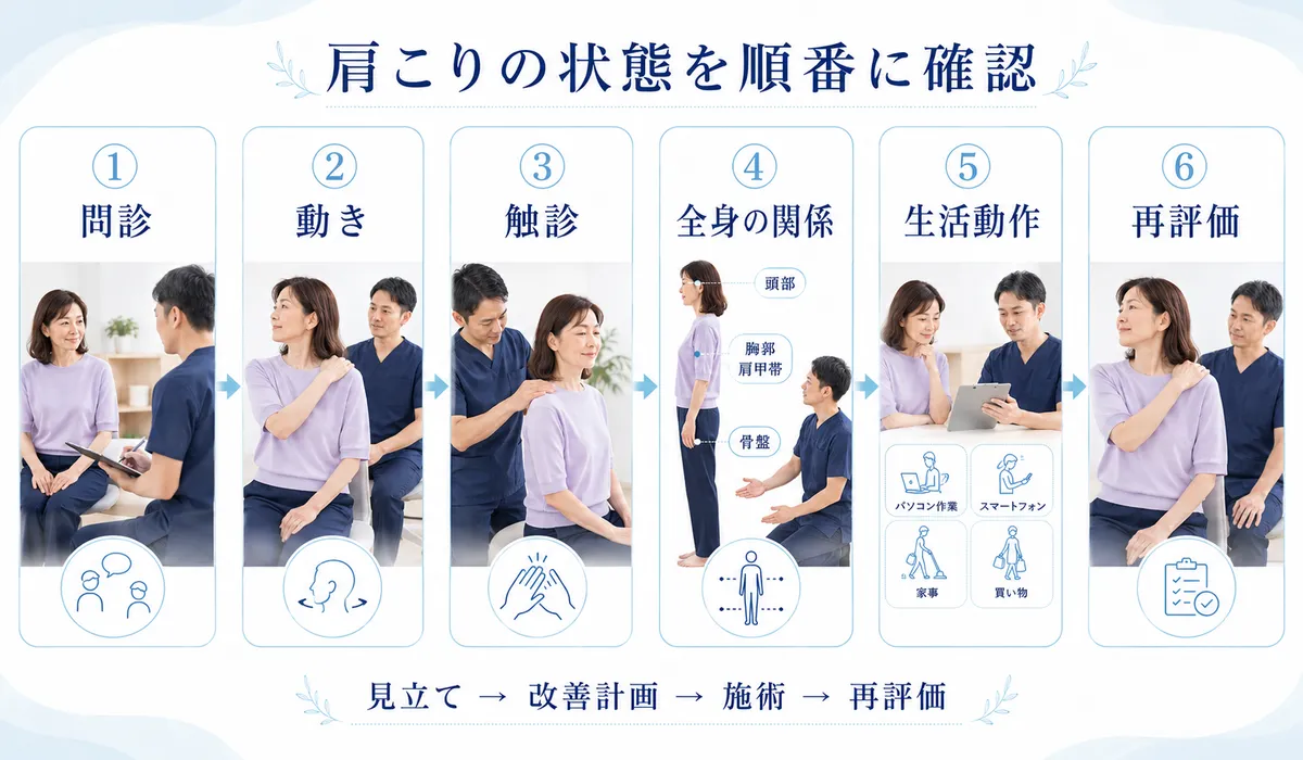 肩こりで問診・動作・触診・全身の関係・生活動作・再評価を行う流れ
