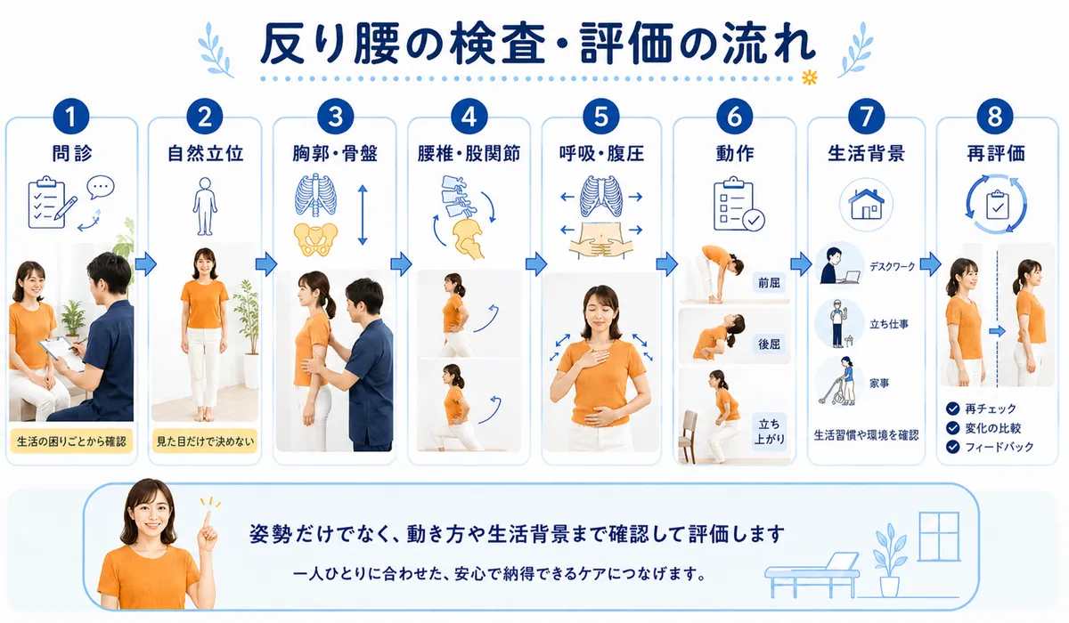 反り腰に対して問診から再評価までを行う当院の検査と評価の流れを示した図解