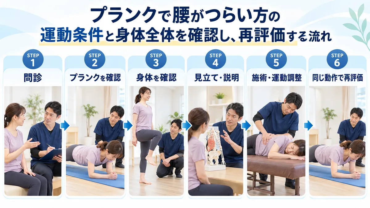 墨東メディカル整体院で問診からプランク確認、身体確認、施術・運動調整、同じ動作で再評価する流れ